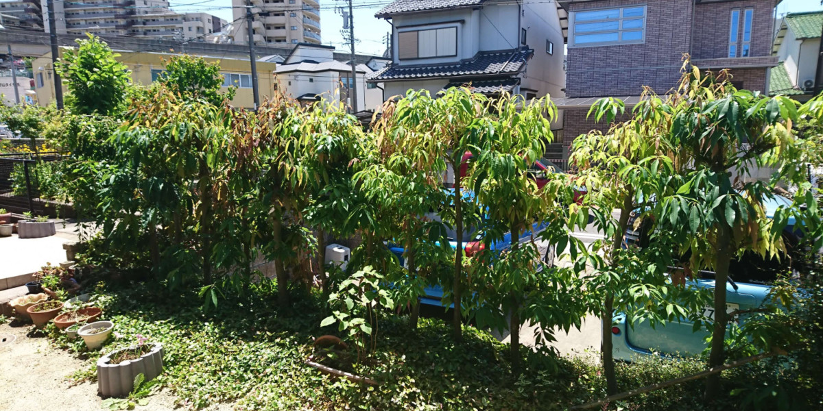 フェンス取付、日本庭園風にリニューアル