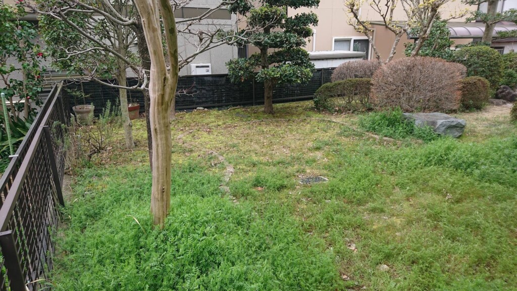 お庭を施工前の様子