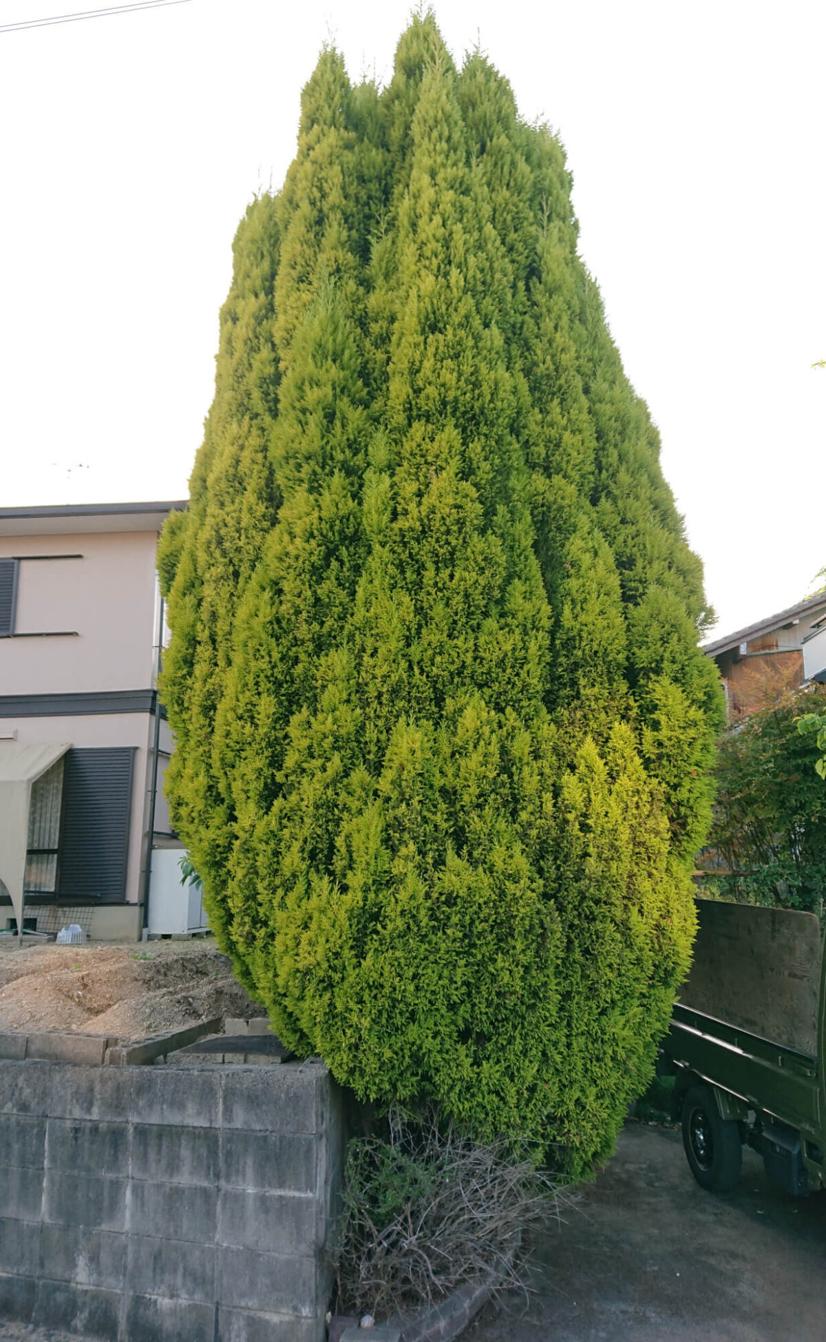 作業前の様子1枚目